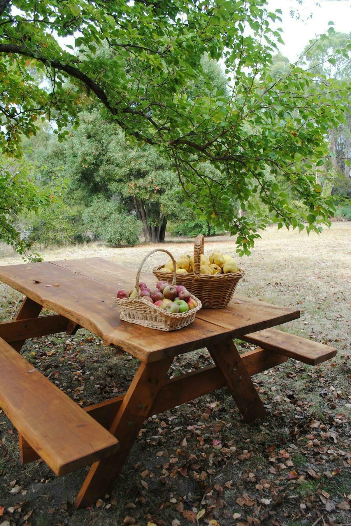 Cygnet Tranquil Point 게스트하우스 외부 사진